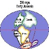 image of Figure 17-200 mya